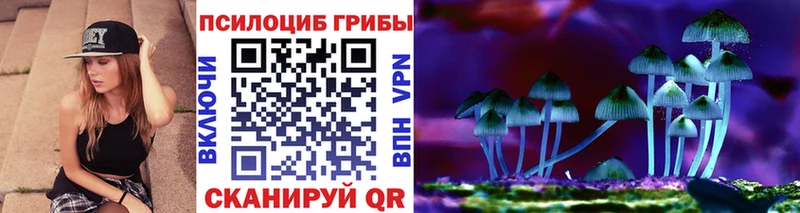 MEGA   купить закладку  Люберцы  Галлюциногенные грибы мицелий 
